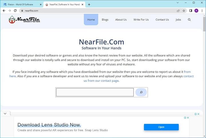 Google Chrome Screenshot 10