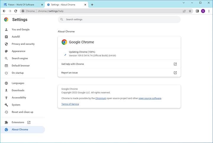 Google Chrome Screenshot 19