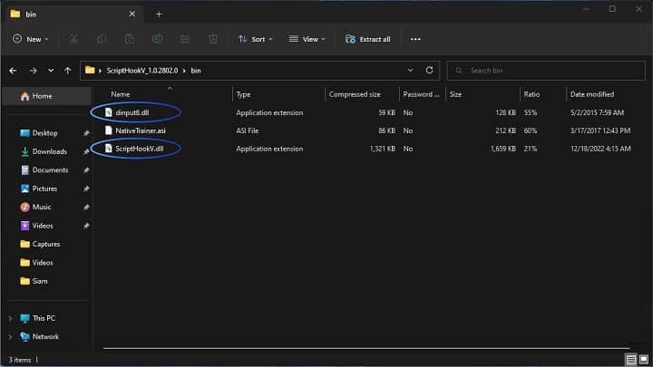 Script Hook V Native Trainer Installation Process 3