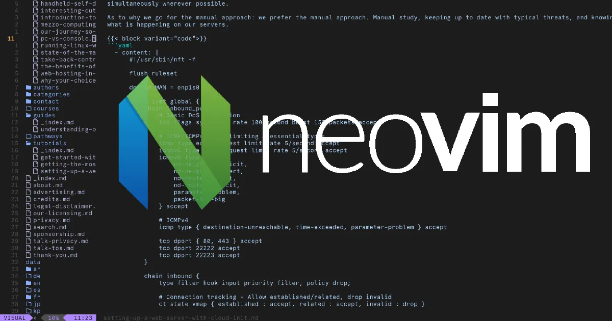 Official Neovim logo on a branded background