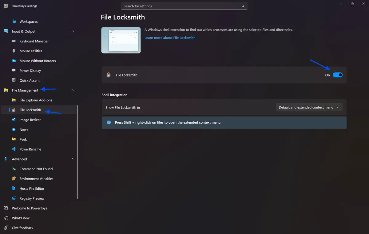 Settings menu interface showing the "File Locksmith" option enabled, with a toggle switch turned on, and the surrounding navigation menu on the left including options like "Input & Output" and "Power Account."