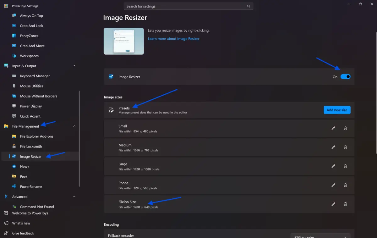 Screen capture of the Image Resizer settings in a software application, showing toggle for Image Resizer with options for various image sizes: Small, Medium, Large, Phone Size, and Fill Size.