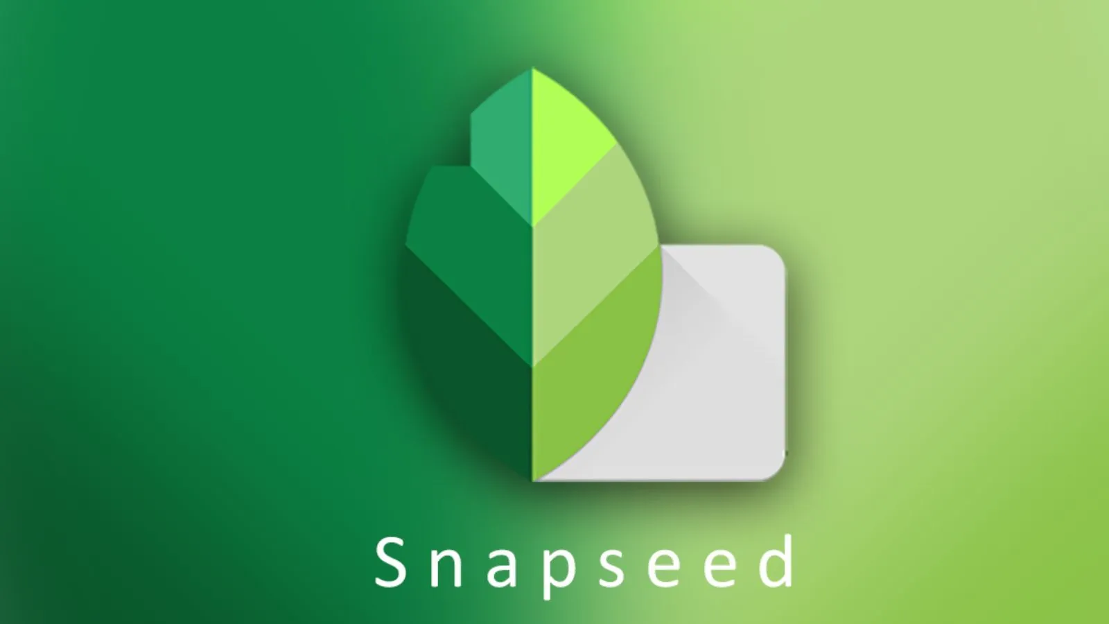 Snapseed photo editing app displaying professional editing tools and RAW image adjustments on Android